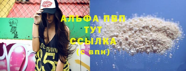 прущие грибы Нефтегорск