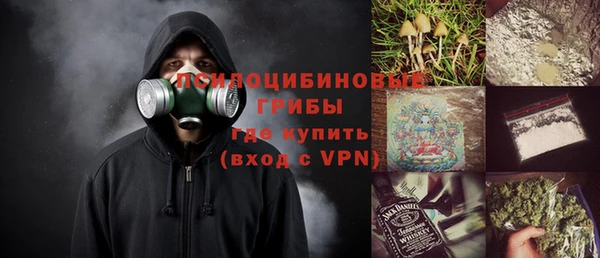 PSILOCYBIN Нефтекумск