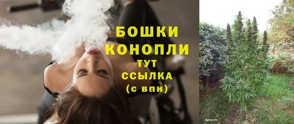 гашик Нея