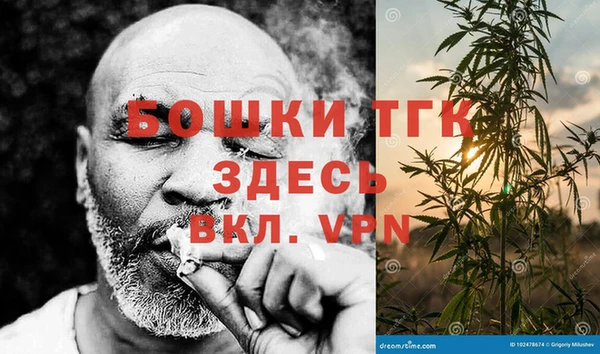 гашик Нея