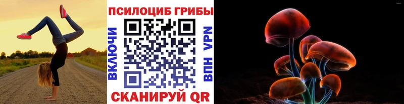 купить наркоту  Покровск  Галлюциногенные грибы прущие грибы 